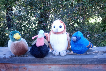 Cuyamaca Gift store item